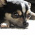 :iconedenhope: