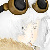 :iconedens-paradox: