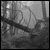 :iconedenvale: