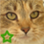 :iconedgarandtez: