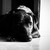 :iconedgarasphotography: