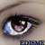 :iconedisme518123: