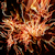 :iconedphoto89: