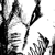 :iconedsonandrade: