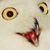 :iconedufursouz: