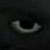 :iconedux567: