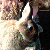:iconedward-bunnikins: