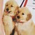 :iconedwardandelion: