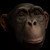 :iconedwardsaul: