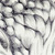 :iconedwrodrig: