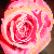 :iconedythe: