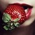 :iconedzia07: