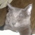 :iconeeestrad: