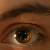:iconeejee-tea: