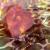 :iconeek-creative: