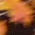 :iconeelongcloral: