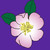 :iconeevahails: