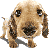 :iconeeveech:
