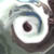 :iconeffemine: