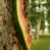 :iconeffluvitality: