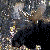 :iconeFm0912: