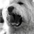 :iconefrainmc: