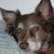 Efrel :iconefrel: