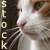 :iconefu127: