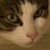 :iconegodystonic: