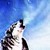 :iconegwolf65: