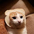 :iconehen: