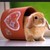 :iconehowl1004:
