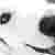 :iconeicheles: