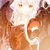 :iconeightbyclandestine: