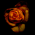 eighty6 :iconeighty6:
