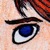 :iconeilonmaddock: