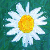 :iconeimaj1: