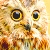 :iconeirenebellatrix: