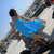 :iconeirini87: