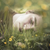 :iconeivindhansen: