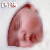 :iconejtelawy: