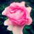 :iconekiskin13: