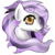 :iconeknc-adopts: