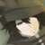 :iconel-calvin: