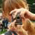 :iconel-campo: