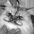 :iconel-chat: