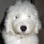 :iconel-frost: