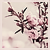 :iconel-jasmin: