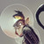 :iconel-mono-autista: