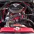:iconel-plum: